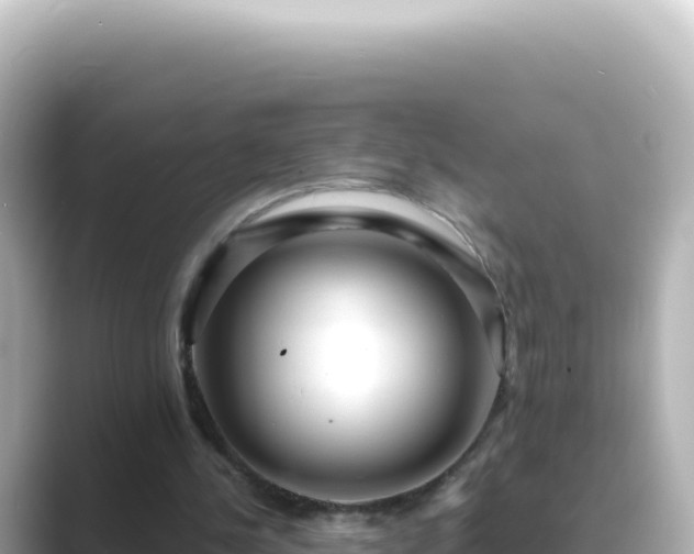 X0000089440244200706221234