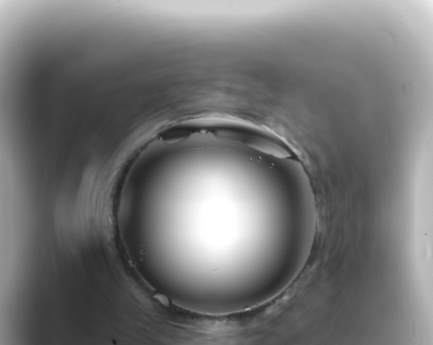 X0000089440245200706221234