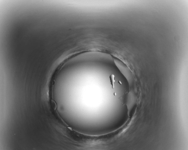 X0000089440246200706221234