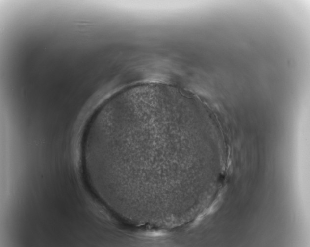 X0000089440247200706221234