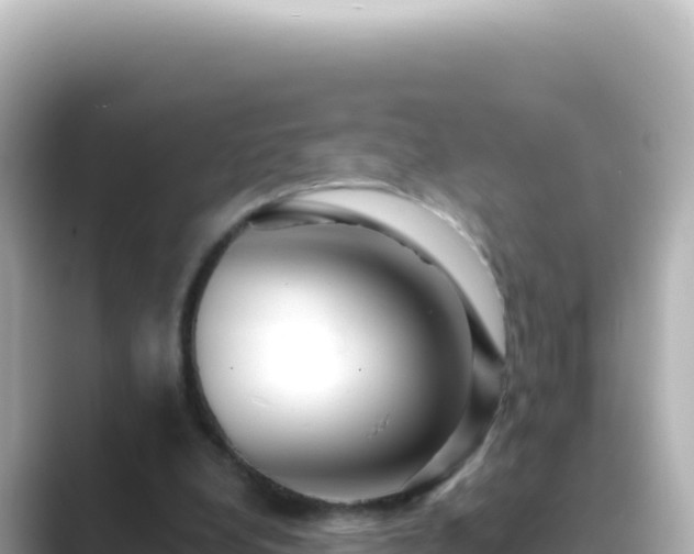 X0000089440248200706221234