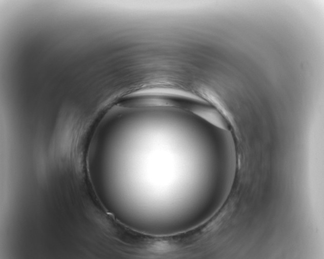 X0000089440249200706221234
