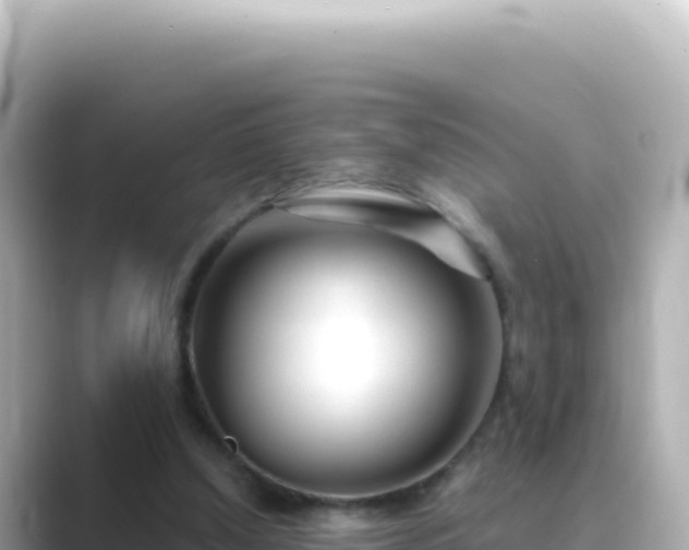X0000089440250200706221234