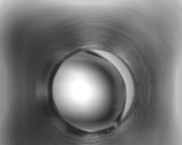 X0000089440252200706221234