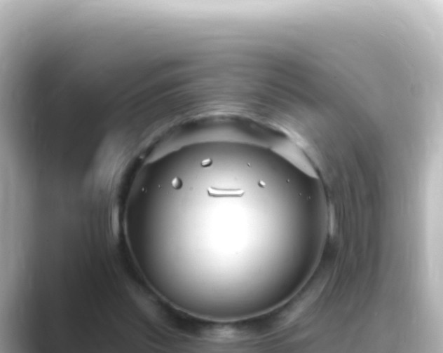 X0000089440253200706221234