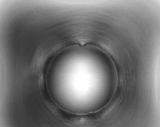 X0000089440254200706221234