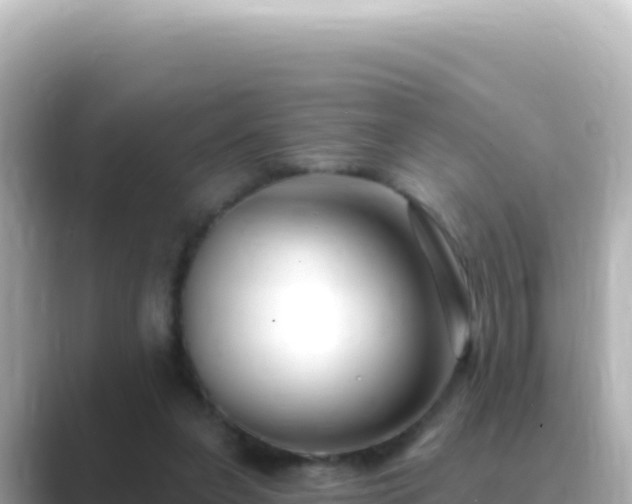 X0000089440255200706221234