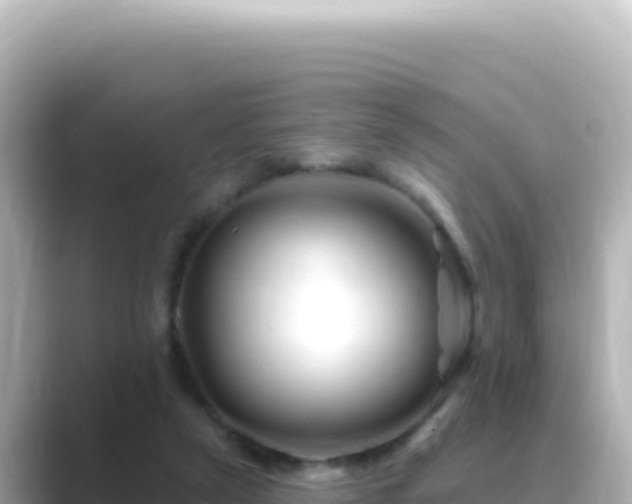 X0000089440257200706221234