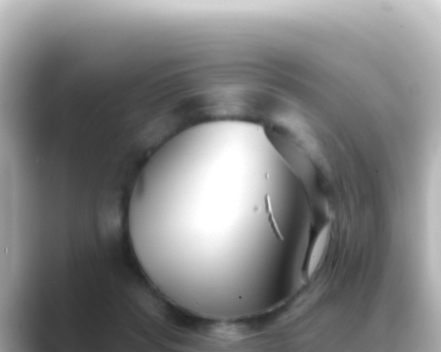 X0000089440261200706221234