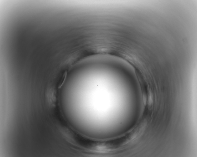 X0000089440264200706221234