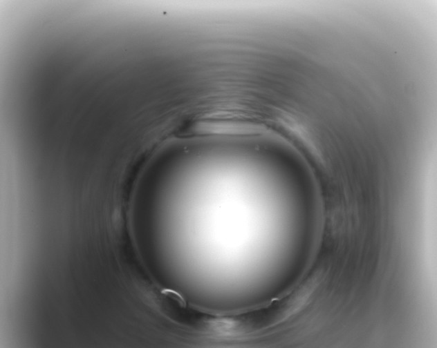X0000089440265200706221234