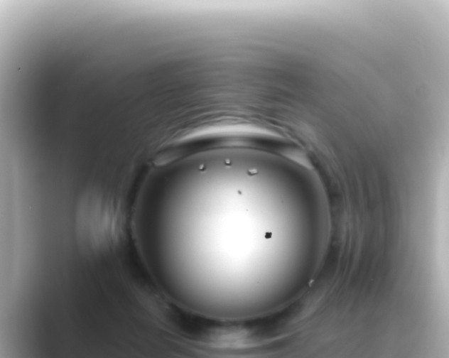 X0000089440266200706221234