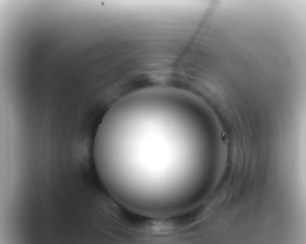 X0000089440275200706221234