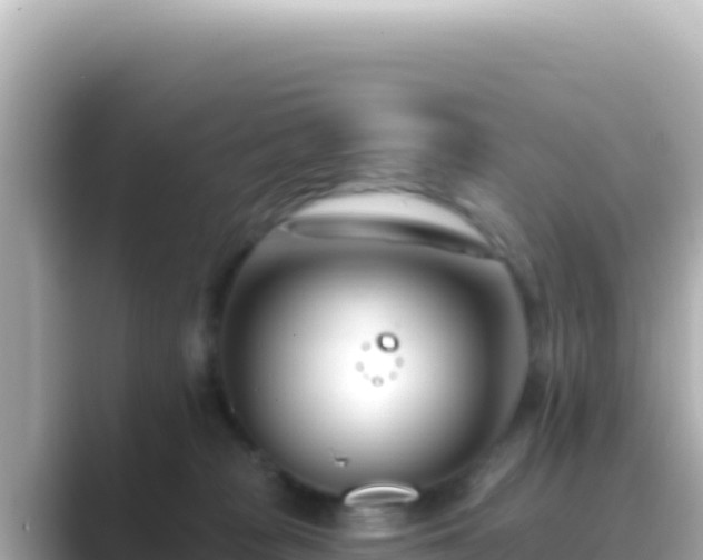 X0000089440277200706221234