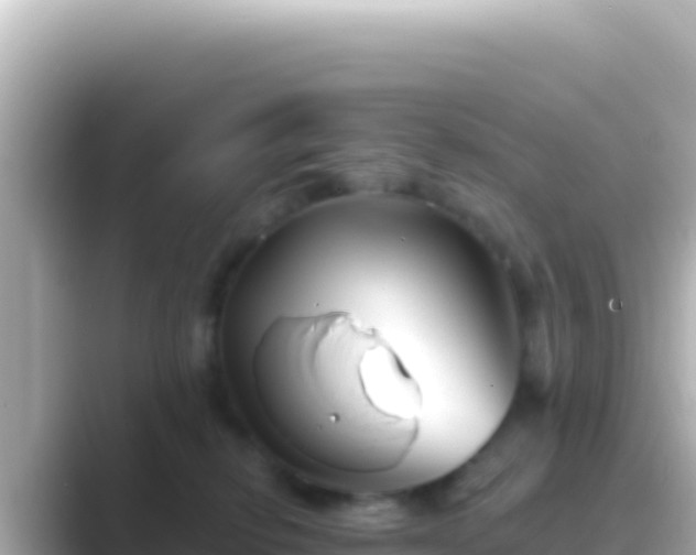 X0000089440278200706221234