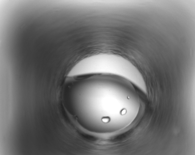 X0000089440280200706221234