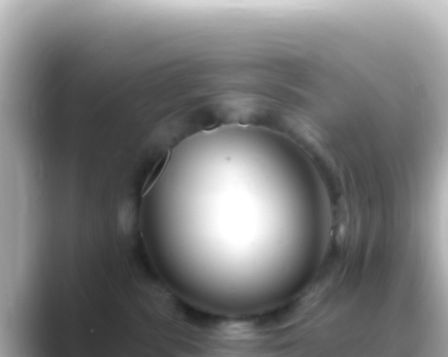 X0000089440283200706221235
