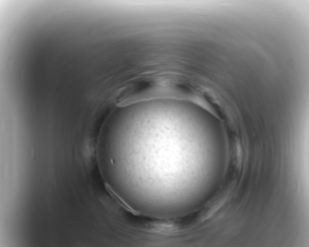 X0000089440284200706221235