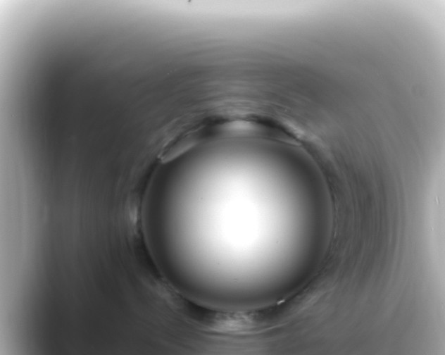 X0000089440288200706221235