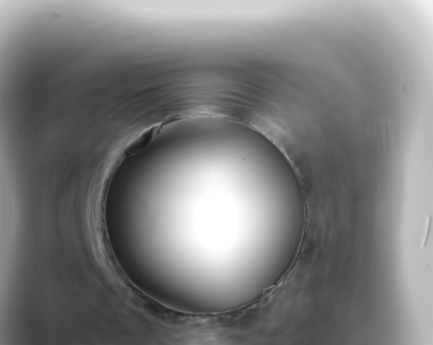 X0000089440289200706221234