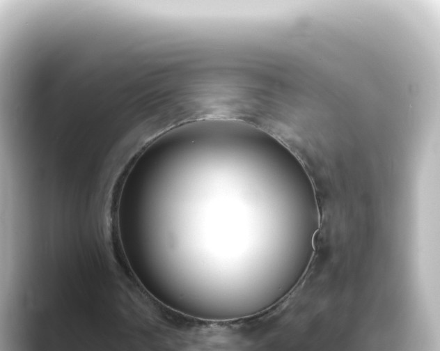 X0000089440290200706221234