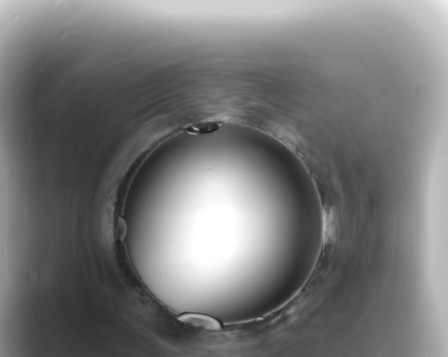 X0000089440291200706221234