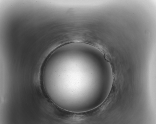 X0000089440292200706221234