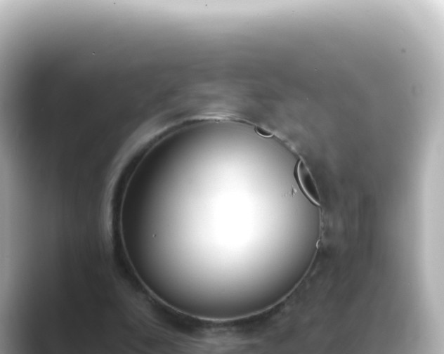 X0000089440296200706221234