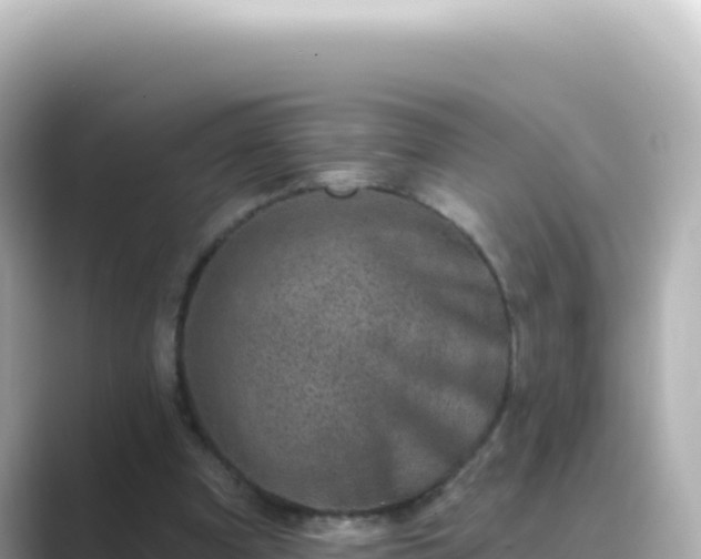 X0000089440297200706221234