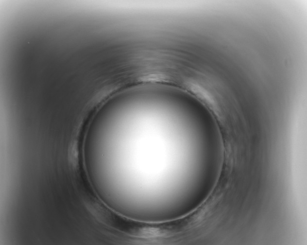 X0000089440298200706221234