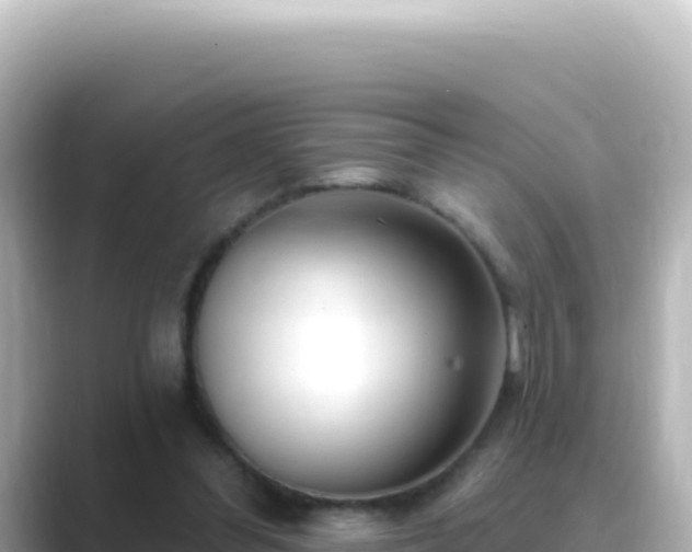 X0000089440300200706221234