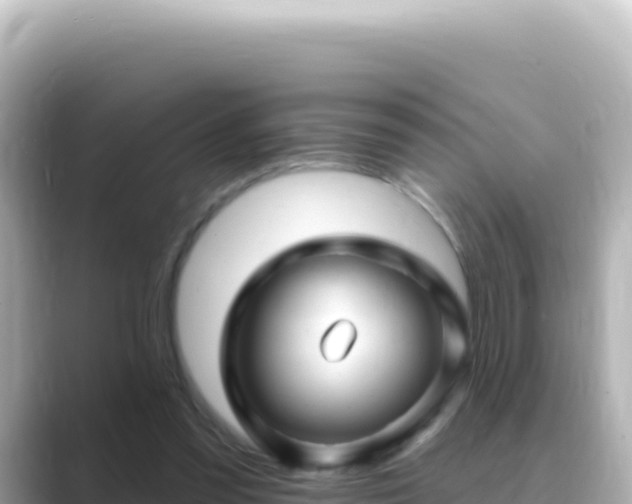 X0000089440301200706221234