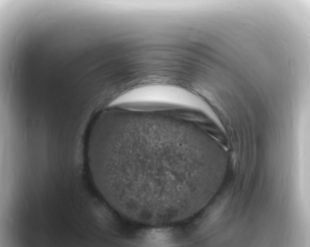 X0000089440303200706221234