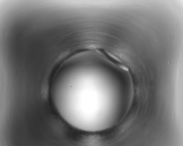 X0000089440304200706221234