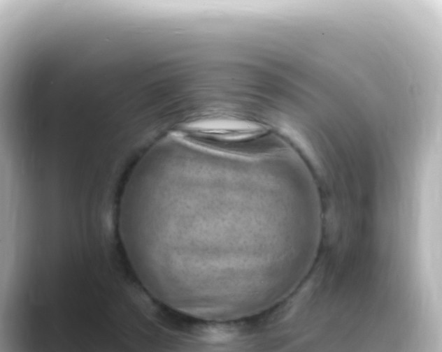 X0000089440305200706221234