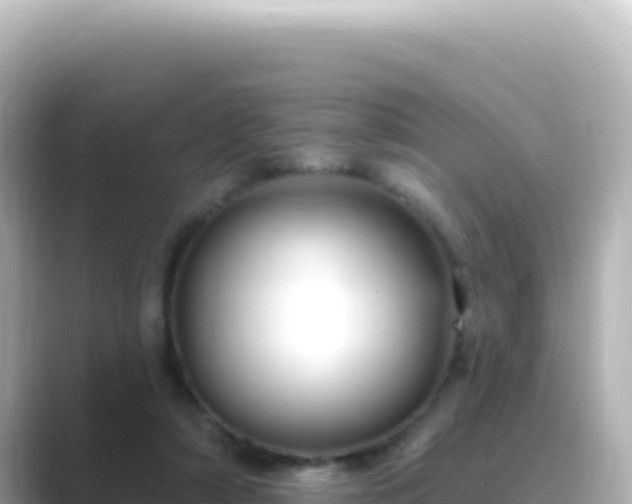 X0000089440306200706221234