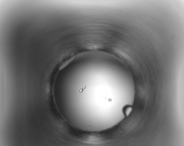 X0000089440308200706221234
