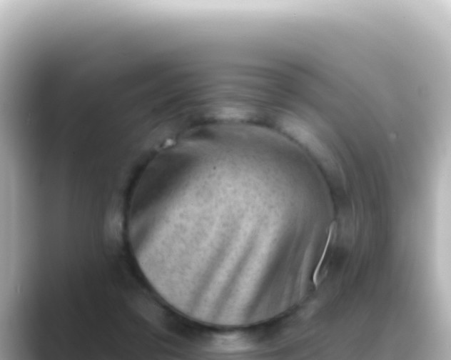 X0000089440309200706221234