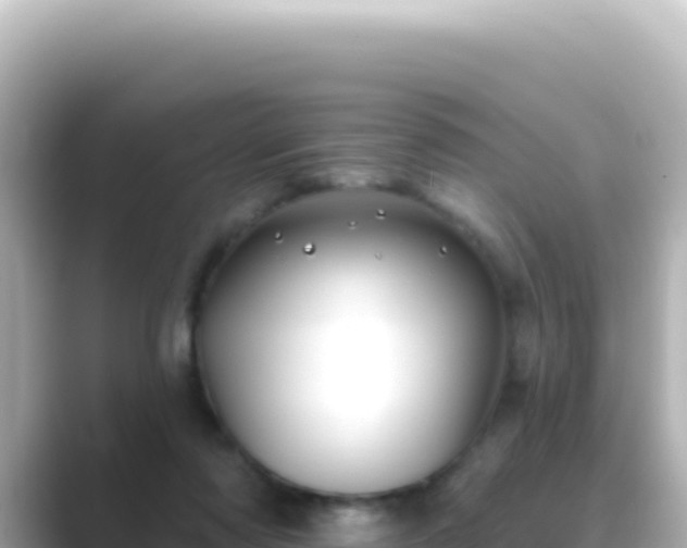 X0000089440310200706221234