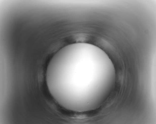 X0000089440311200706221234