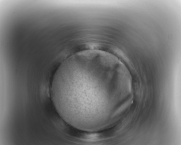 X0000089440313200706221234