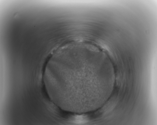 X0000089440314200706221234