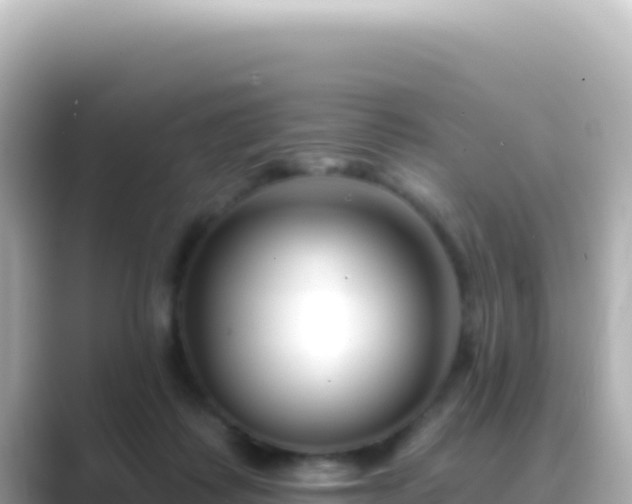 X0000089440315200706221234