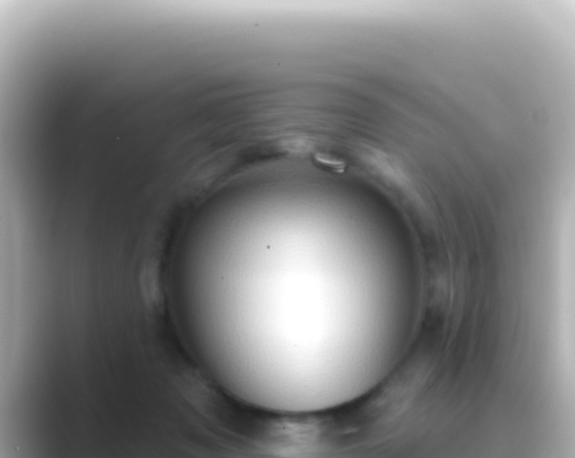 X0000089440317200706221234