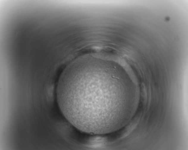 X0000089440319200706221234