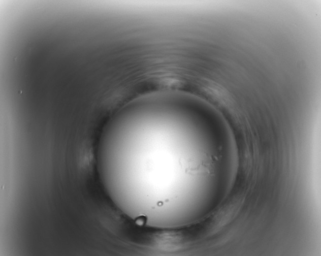 X0000089440320200706221234