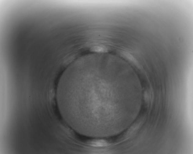 X0000089440322200706221234