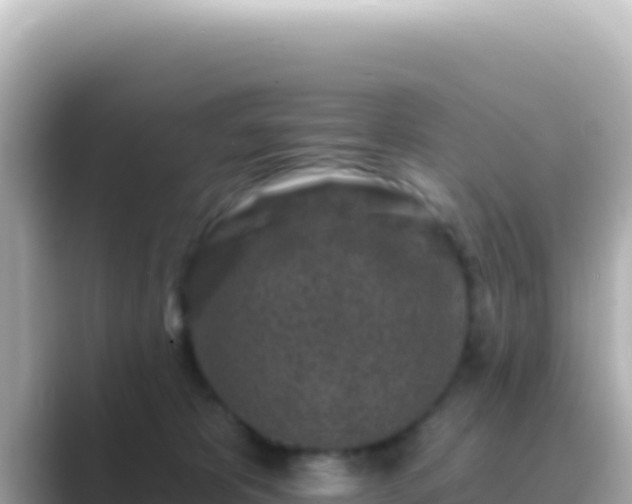 X0000089440325200706221234