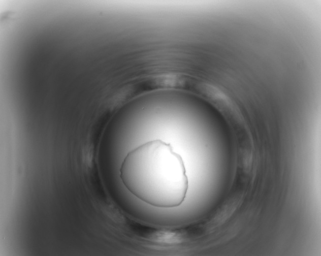 X0000089440326200706221234