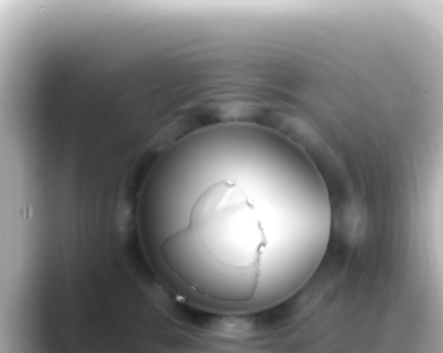 X0000089440327200706221234